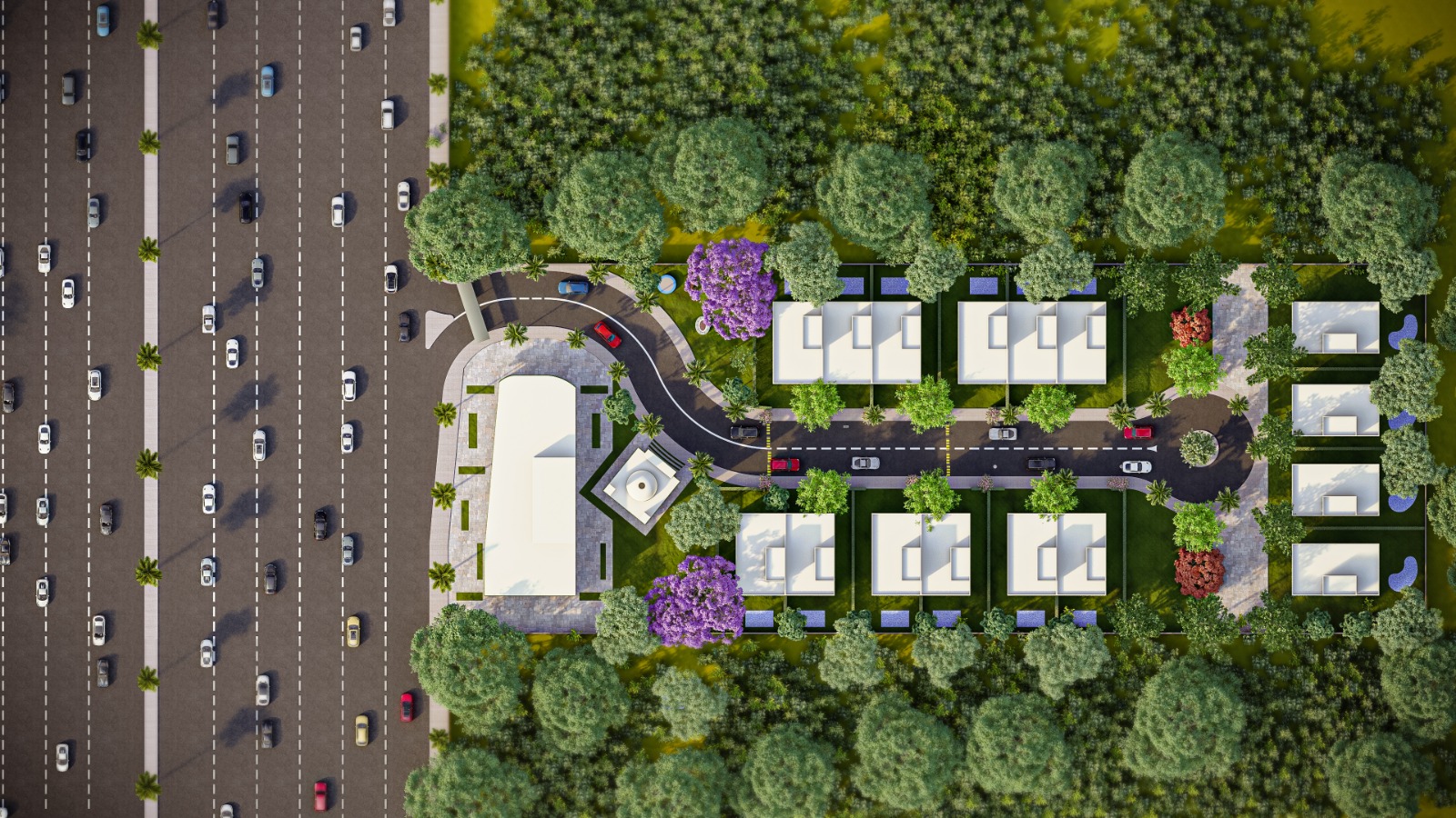 Lamar Residence - LAMAR 4